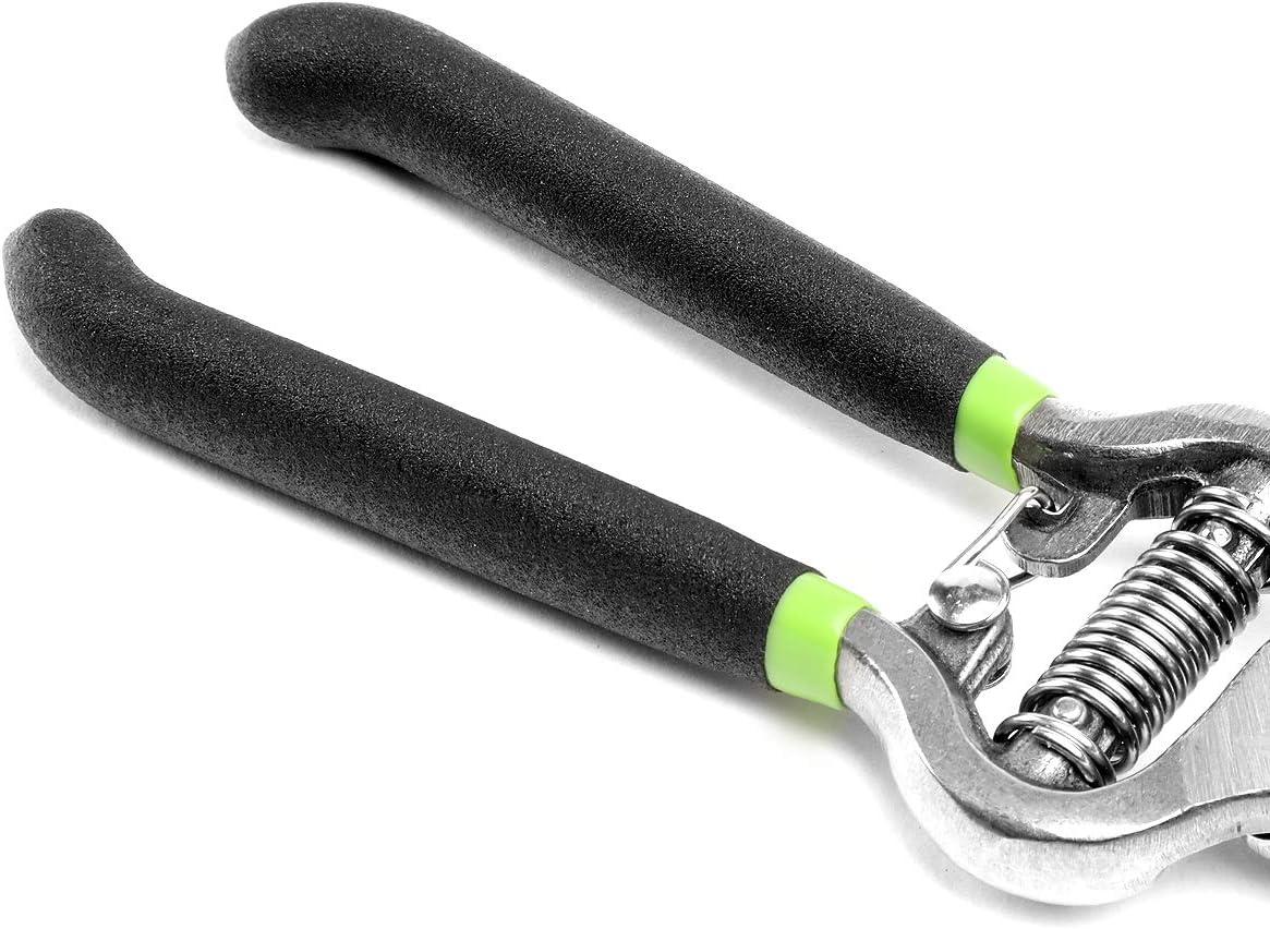 imageDNA Motoring TOOLS00112 Heavy Duty Steel Curved Blade Pruners 1 Inch Garden Pruners with Steel Blade Design GreenBlack Vinyl Grips HandleGarden Pruner